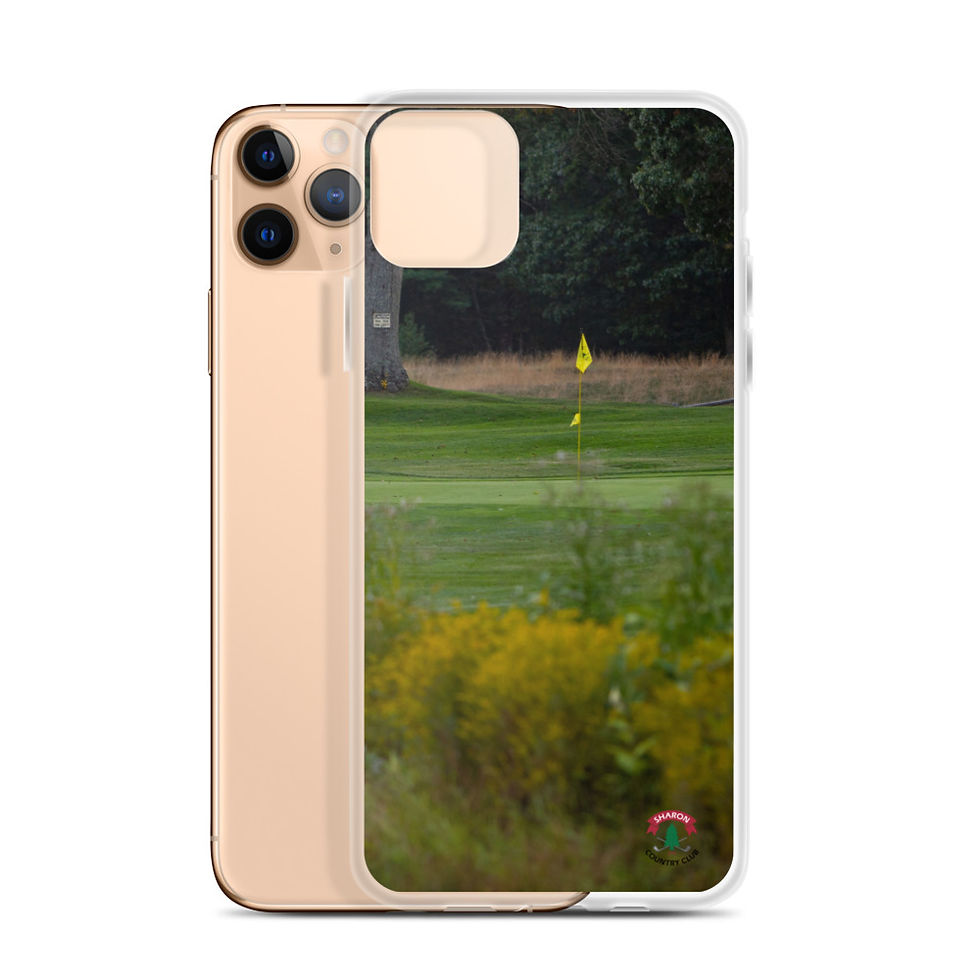 Thumbnail: Sharon Country Club iPhone Case