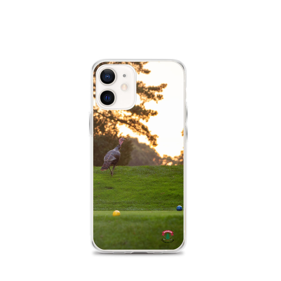 Thumbnail: Turkeys - Sharon Country Club iPhone Case
