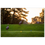 Thumbnail: Turkeys - Aluminum Print - Sharon Country Club