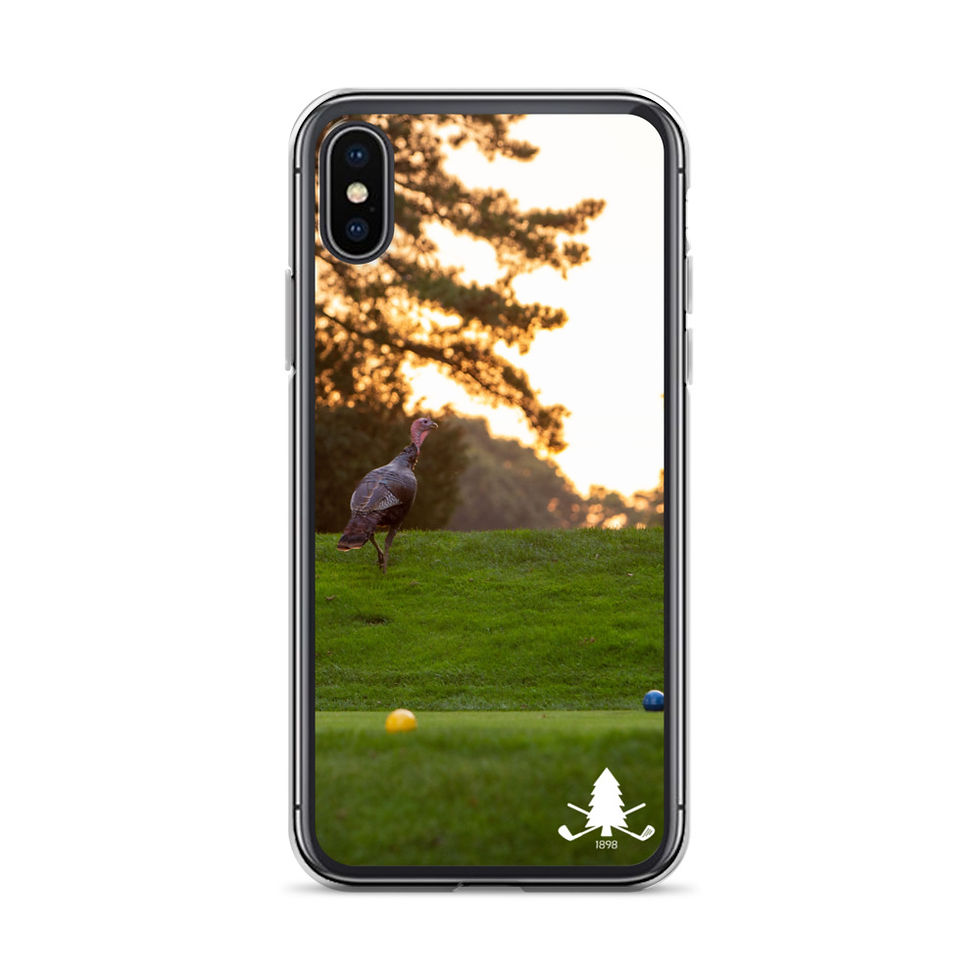 Thumbnail: Turkeys - Sharon Country Club iPhone Case