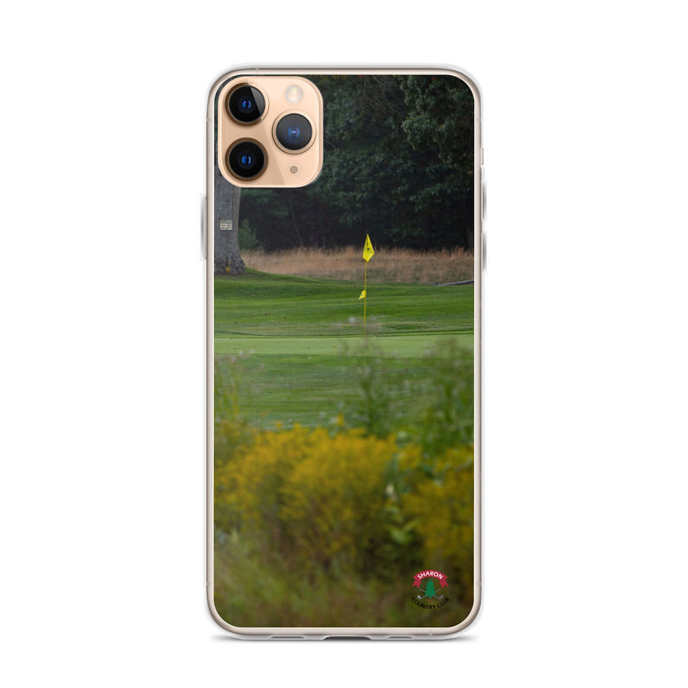 Thumbnail: Sharon Country Club iPhone Case