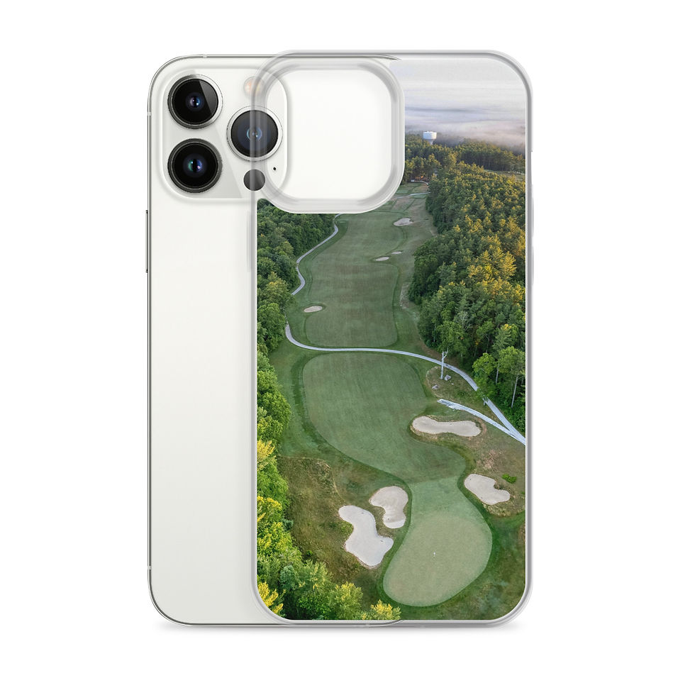 Thumbnail: iPhone Case - The Bay Club no. XIV 