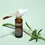 Miniatura: CBD para dormir  - Sleep Drops