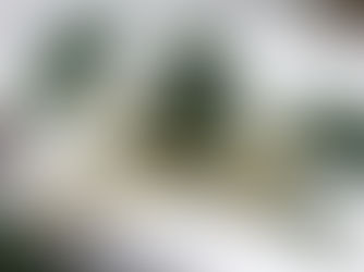 Enhance Your Home Decor with Exquisite Glass Airplane Shaped Planter - A Luxurious Touch to Indoor Greenery