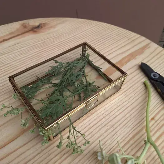 Luxury Golden Display Box for Jewelry, Dried Flowers & Wedding Styling