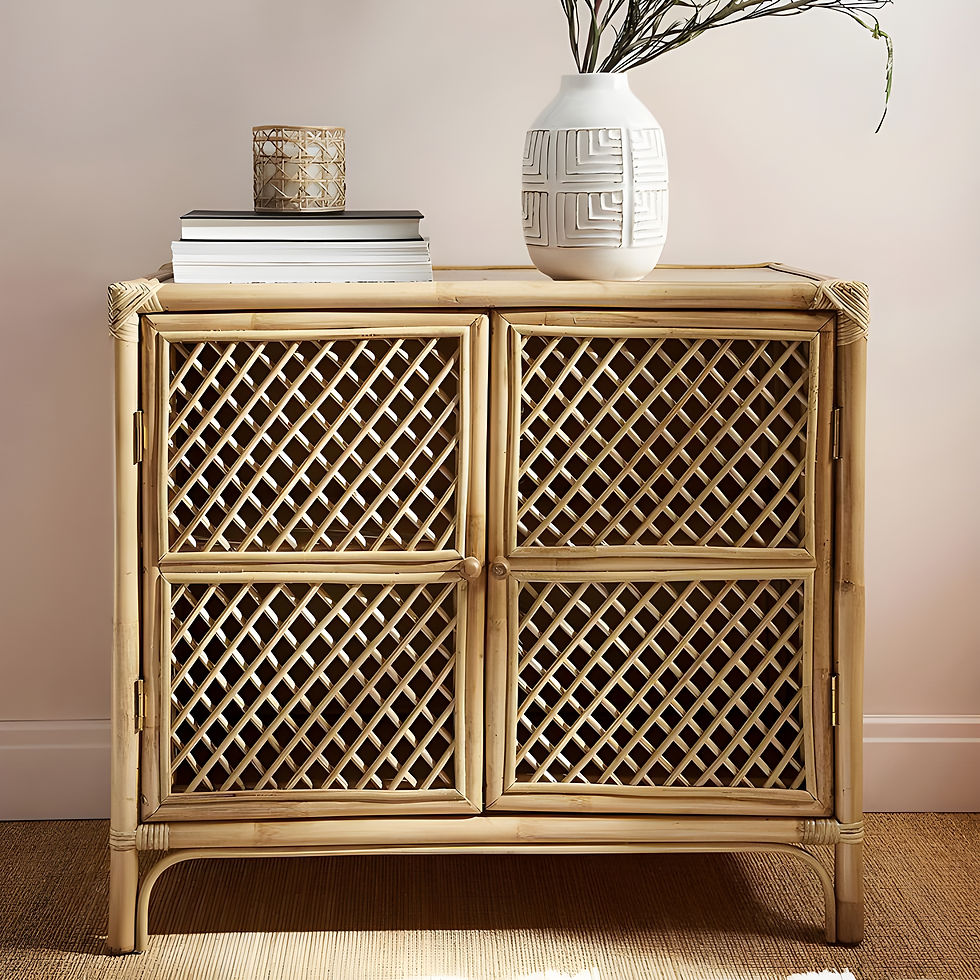 double compartment cane cabinet