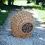 Thumbnail: Natural Rattan Wicker Pet Carrier with Metal Door
