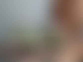 How to Elevate Your Indoor Greenery Game with Stylish Geometric Glass Terrarium Containers!