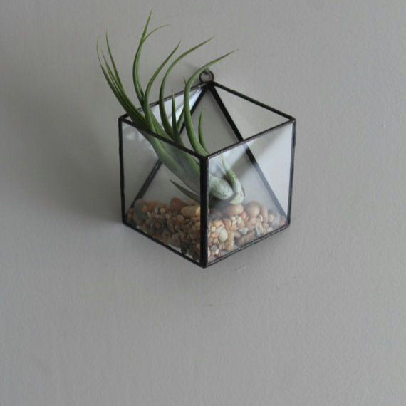 clear glass geometric wall terrarium with black edge detailing
