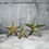 Thumbnail: Decorative 5 Pointed Mirrored Star Candle Holder | Calestial Star Ornament