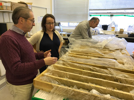 New research brings age of 65m-year-old meteorite impact into sharper focus