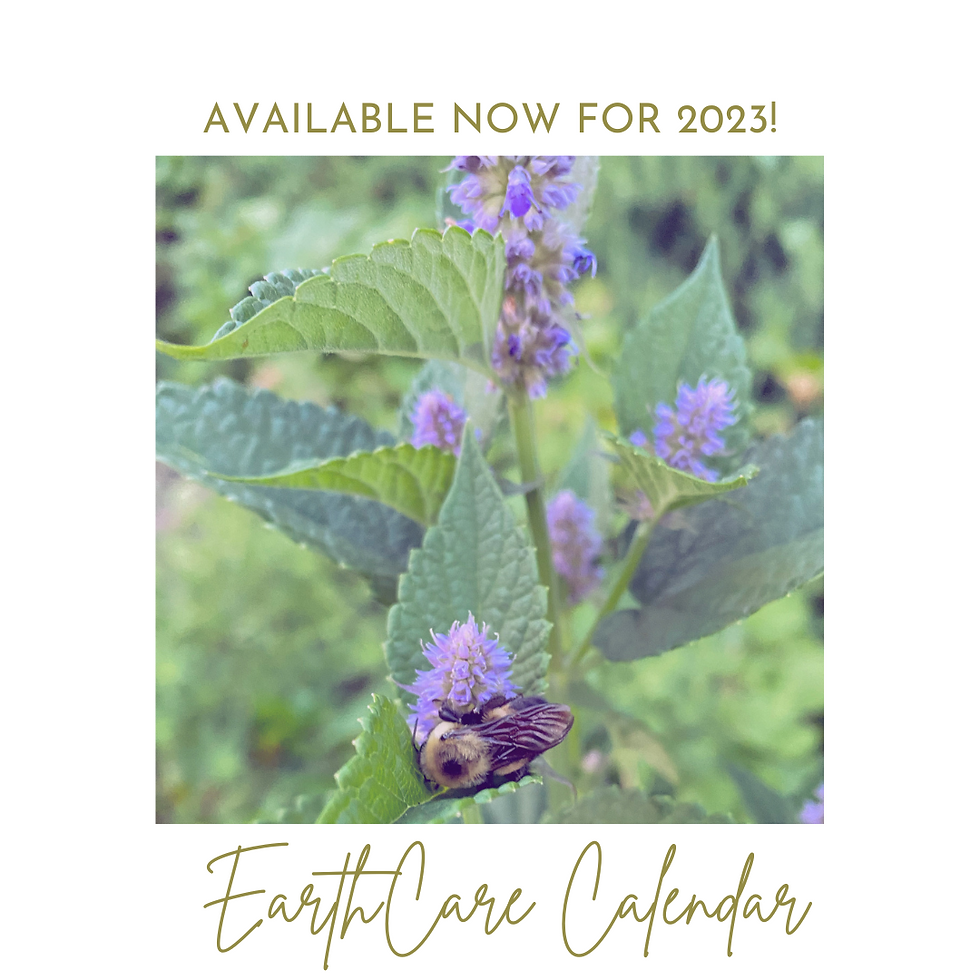 Thumbnail: 2023 EarthCare Calendar