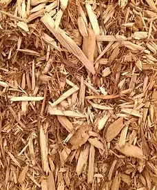 Mulch.webp