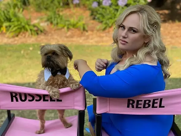 Pooch-Perfect.jpg.webp
