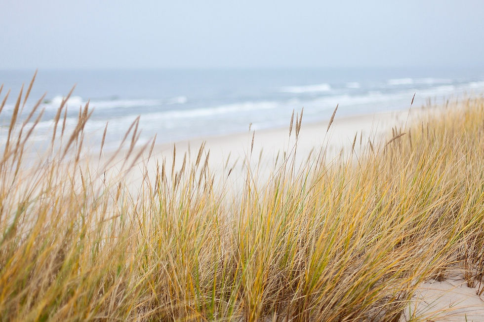 Recuperem les dunes de Castelldefels!
