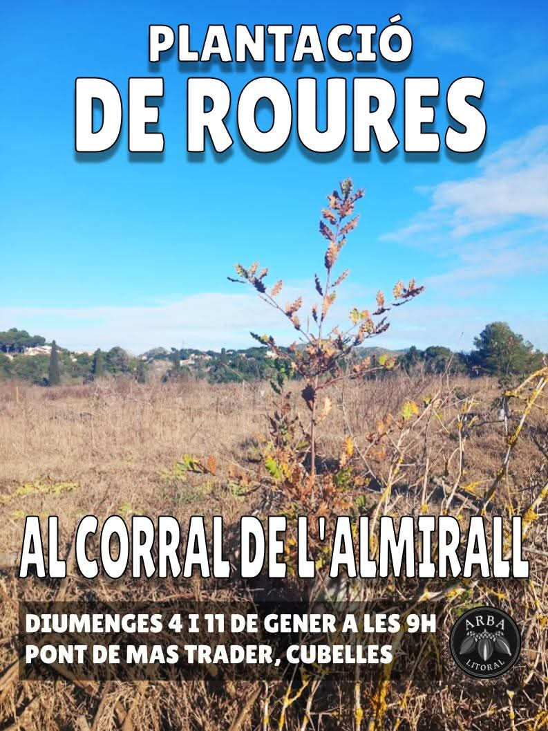 ARBA LITORAL: Plantació de roures a Mas Trader (Cubelles)