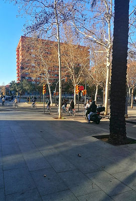 Barcelona ciutat Club Suport Mutu ENTREBICIS ASSOCIACIO APROP GARRAF BANC DE RECURSOS COMP