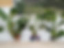 Edifici Escalonat | APROP GARRAF | C.E.R.U.