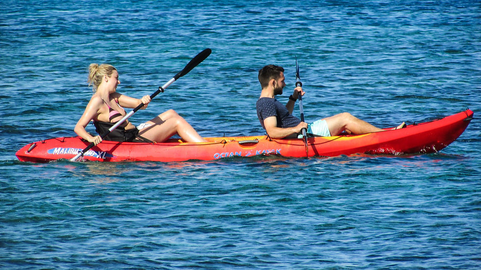 Vols fer sortides en kayak en grup?
