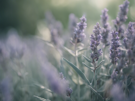 Mindfulness imagery for counselling