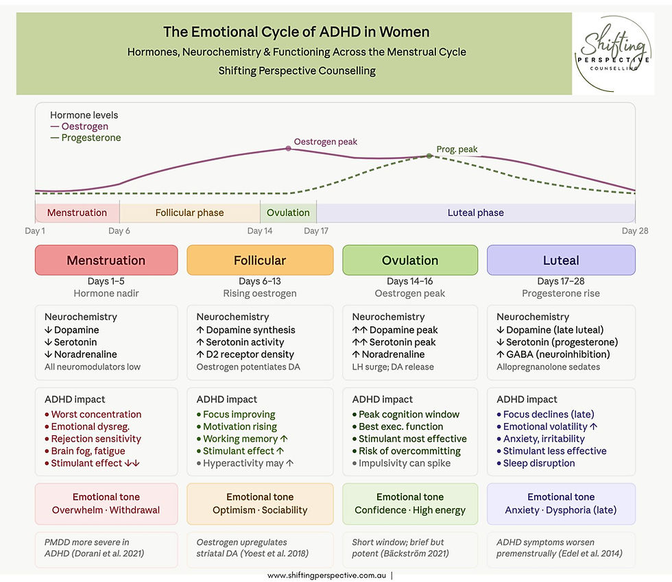 Infographic explaining how hormonal changes across the menstrual cycle affect dopamine, emotional regulation, executive functioning, and ADHD symptoms in women.