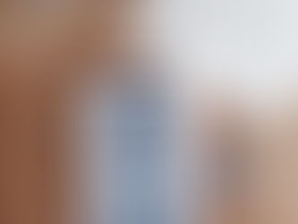 O leitor incomum (George Steiner)