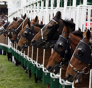 Horse Racing