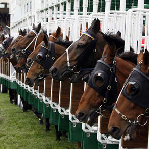 Traditional Cotswold Festivals & Events: A Year in the Life