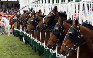 Horse Racing