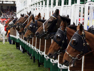 Dingle Horse Racing Festival taking place this weekend