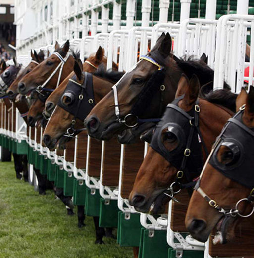 Horse Racing