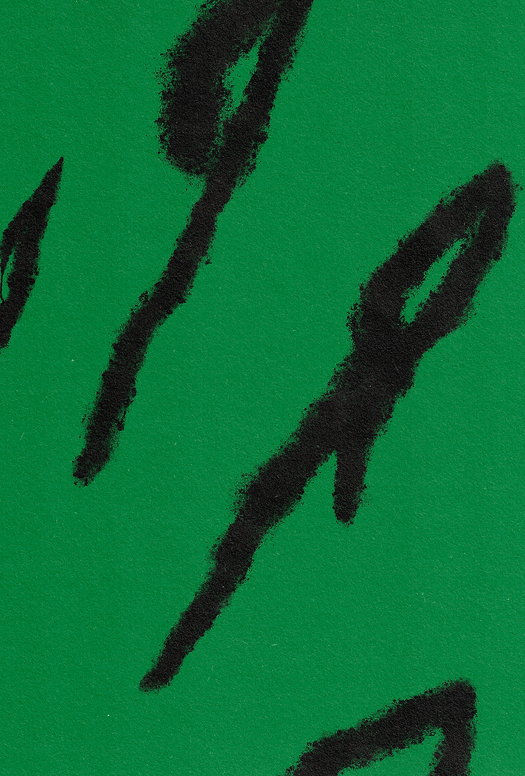 01 brava R verde.png