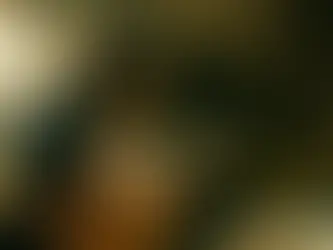 My Happy Family (Nana Ekvtimishvili, Simon Groß, 2017)