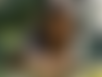 Um lugar bem longe daqui (Olivia Newman, 2022)