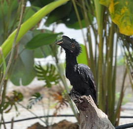 WhatsApp Image 2025-11-03 at 11.07.43 AM (2).jpeg