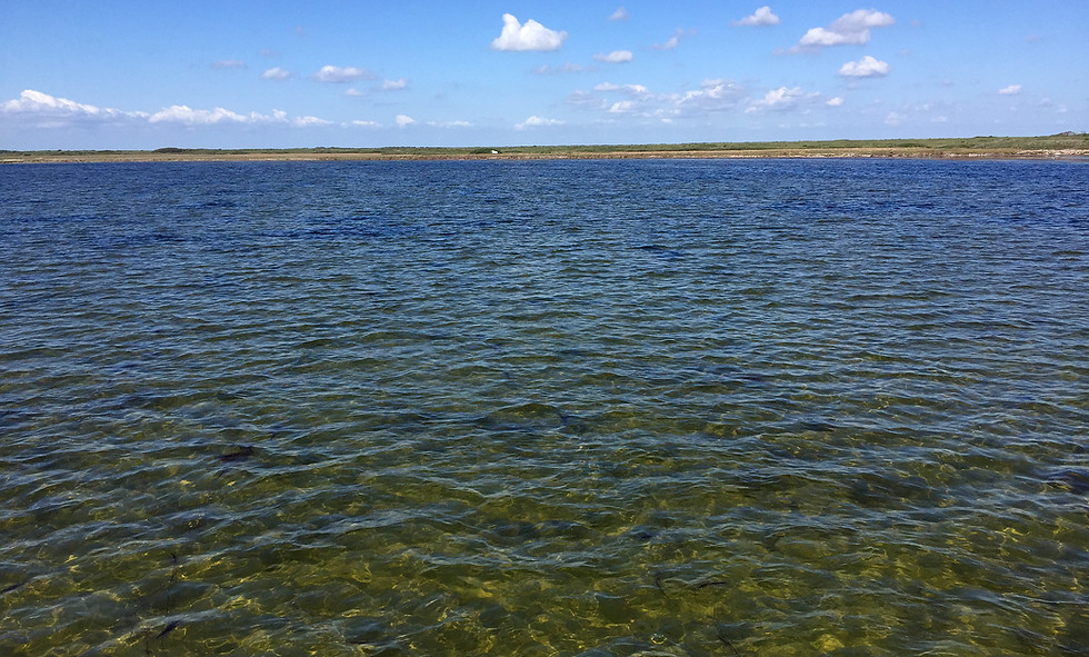 clear water on king ranch shoreline baffin bay