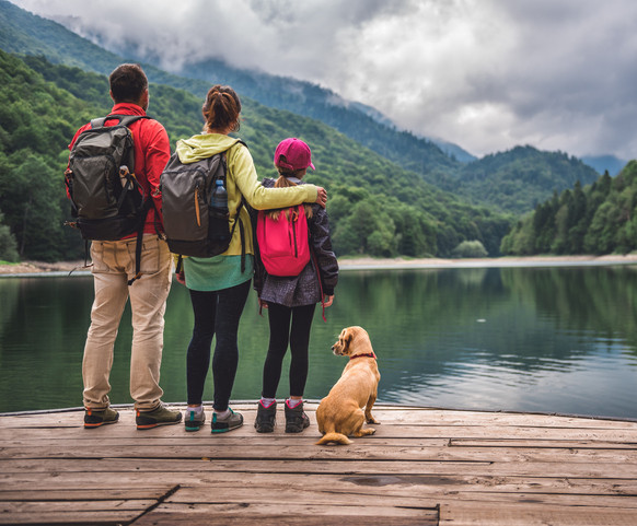 family-dog.jpg