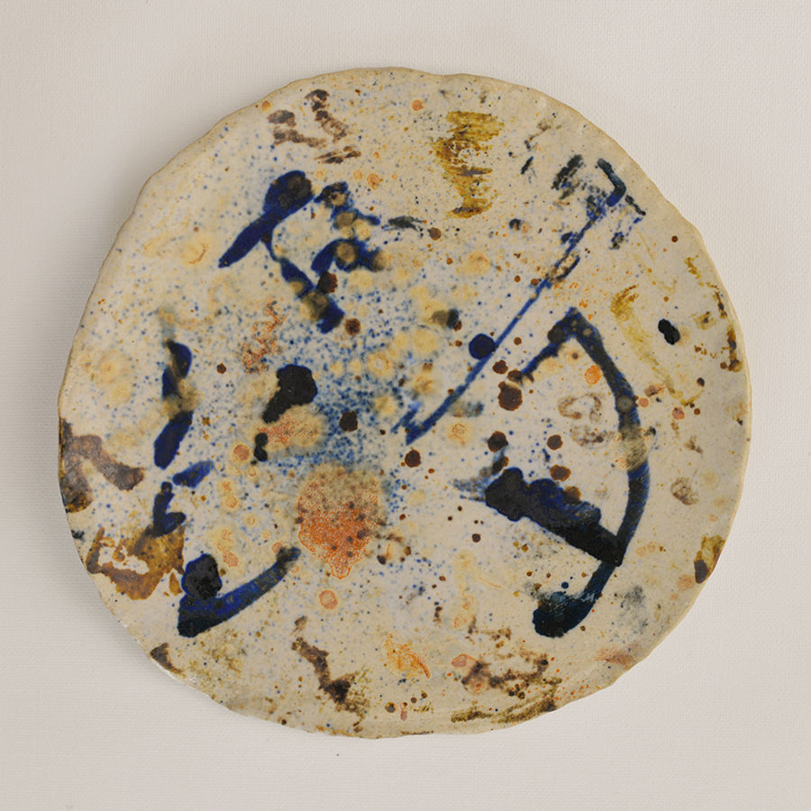 plate-6-website-