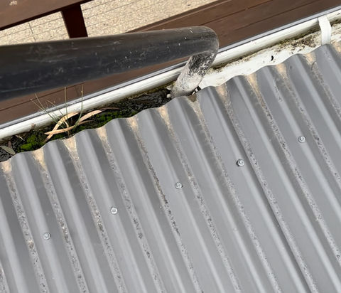 Clean gutters