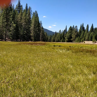 IMG_20180725_140440.jpg