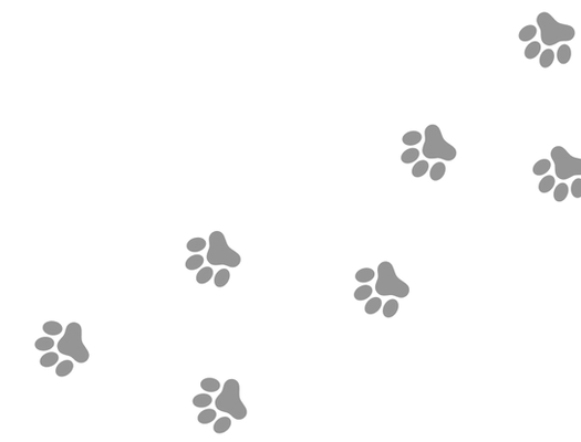 Paw Prints R.png