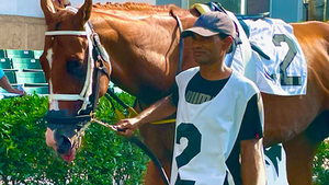 OKeefe Stables June update