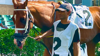 OKeefe Stables June update