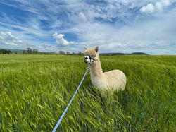 98F80E9E-27D6-41BB-BE65-ABBA60B2E954