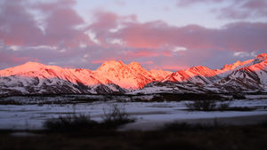 Denali Park Road Bikepacking
