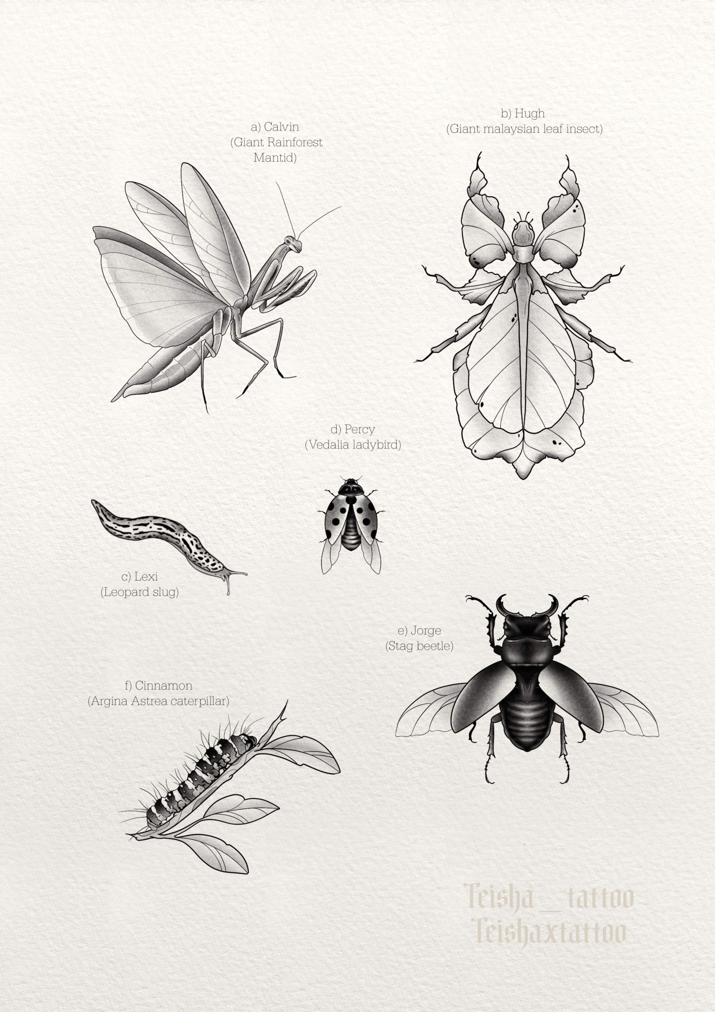 Entomology Print 1 - Teisha Tattoo