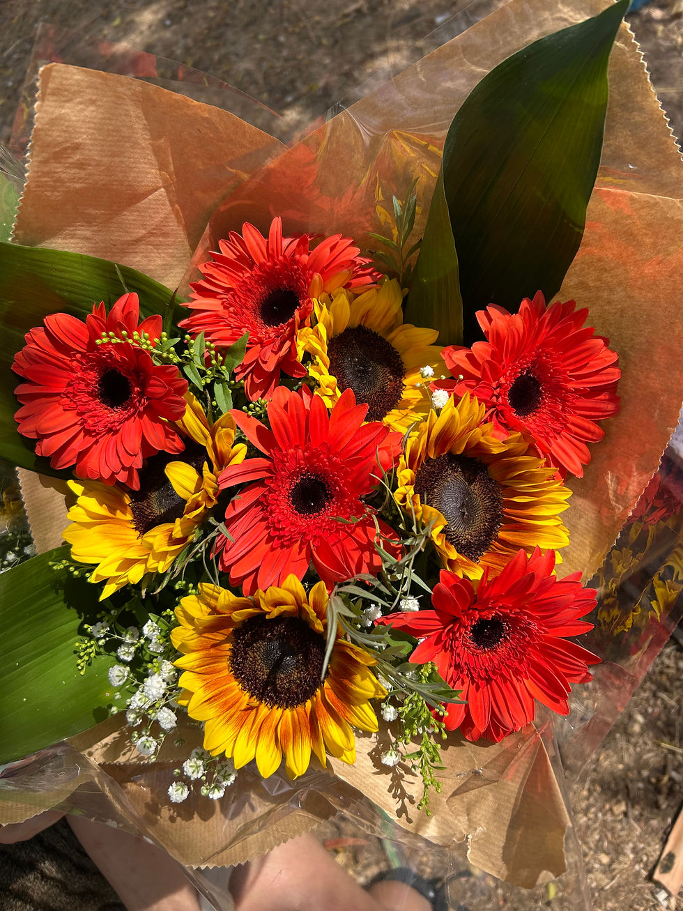 תמונה ממוזערת: הימווארי-זרי חמניות שמחים