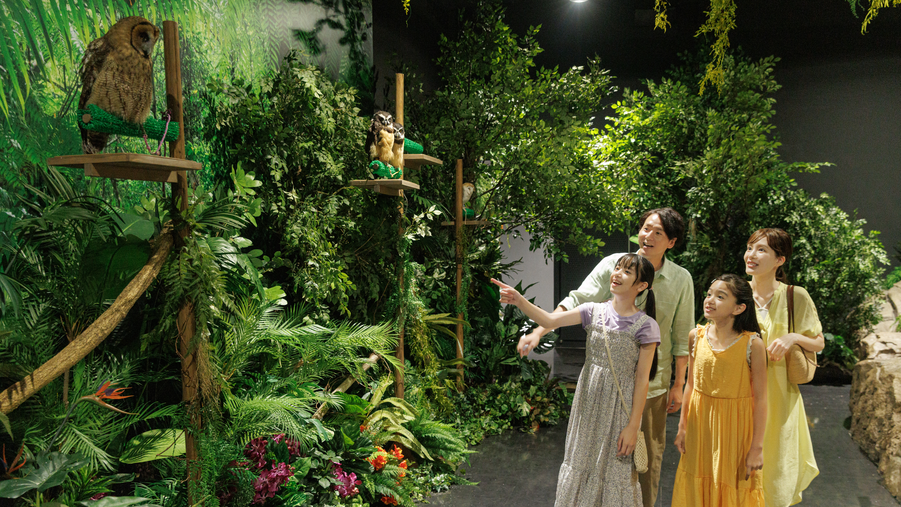 【沖繩必訪】DMM Kariyushi水族館半日遊攻略！2025年新區域登場、新夥伴加入，秋冬也好玩的沖繩親子景點首選