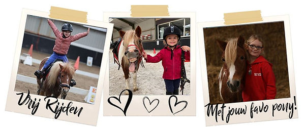 Vrij rijden bij Shetlandponystal Het Zesspan