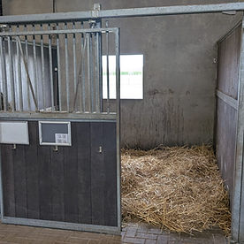Tijdelijke pensionstalling paard Oud en Nieuw